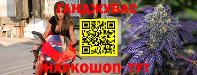крисы Будённовск