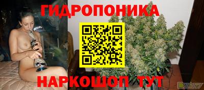 крисы Будённовск