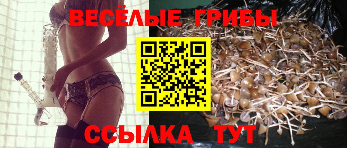 Галлюциногенные грибы мицелий Артём